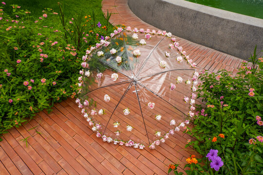 Beautiful Umbrella with flowers in the garden,rain and sun weather on a warm autumn or sumemr day,umbrella under heavy fall shower,Stormy rainy weather season concept.