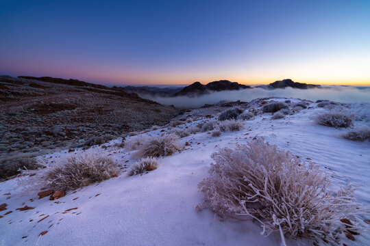 Scenic wide landscape view of snow-covered mountain ridge and frosted desert shrubs above low clouds at dawn in Jabal Al-Lawz, Tabuk