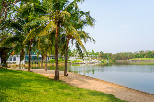 Beautiful Lake and mountain view and forest nature,coconut tree ,sand near the water on the beach,summer vibes,holiday,rest concept.