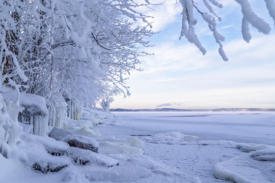 Beautiful snowy trees by a frozen and snowy shoreline and lake in Tampere, Finland in the winter at day. Beautiful natural and tranquil winter landscape.