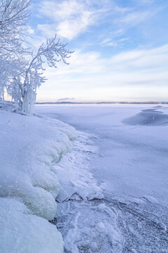 Beautiful snowy trees by a frozen and snowy shoreline and lake in Tampere, Finland in the winter at day. Beautiful natural and tranquil winter landscape. Copy space.