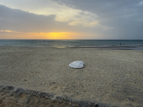 beach and sea