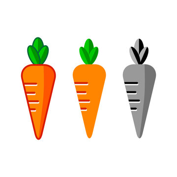 Carrot vector icons on white background