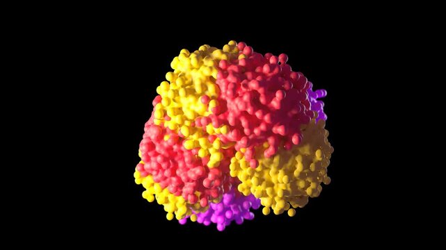 Insulin Hormone Hexamer 3D Medical Animation &ndash; Molecular Visualization
