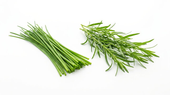 Fresh chives and tarragon sprigs arranged on a clean white background