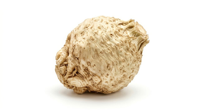 Whole celeriac root with textured skin isolated on a clean white background