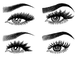 Fototapeta premium Vector set of 4 realistic human eyes in vintage engraving style. Volume 4.