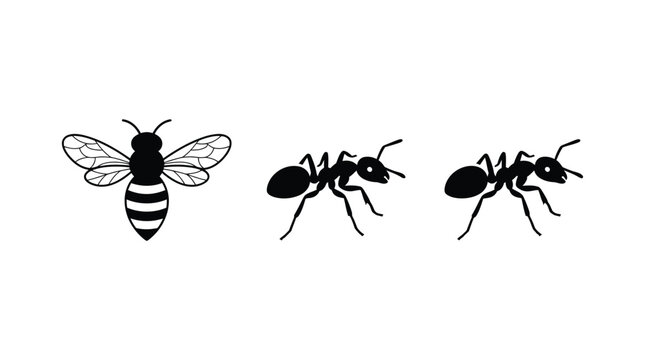 Black silhouettes of a bee and two ants on a white background
