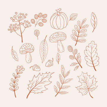 Autumn botanical line art doodles