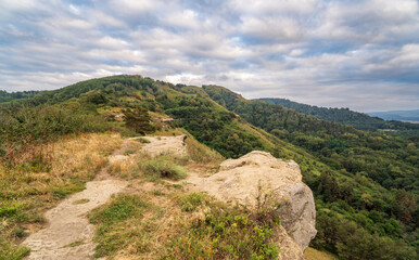 Obraz premium Summer Mountains Landscape with Green forest.