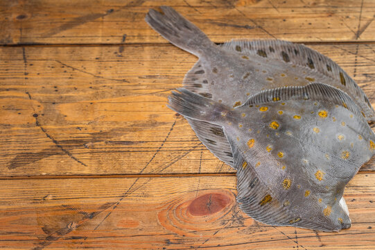Fresh plaice flatfish on wooden table raw seafood ingredient with natural skin texture