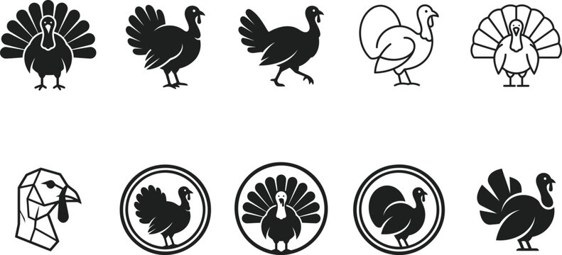 Collection of stylized turkey icons in various poses and forms for Thanksgiving or farm themes