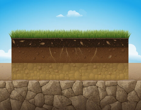 A cross section of earth showing soil layers, humus, and grass under a bright blue sky. This is an educational concept for geology, agriculture, and environmental science displays.