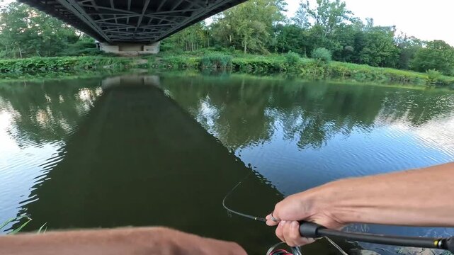 POV fisherman landing a caught Asp (Aspius aspius) into a net on a grassy riverbank. Successful freshwater sport fishing action in summer nature.