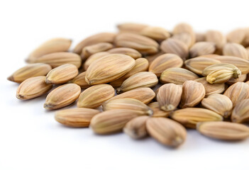 Obraz premium Agriculture and food security, pile of raw sunflower seeds for healthy nutrition and organic farming industry, macro shot on a clean white background