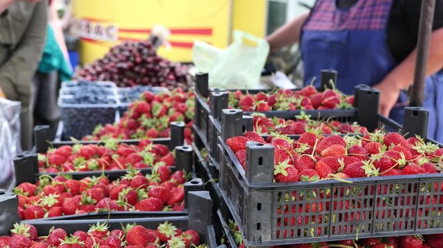 Fresh strawberries at farmers market with contactless payment during summer harvest