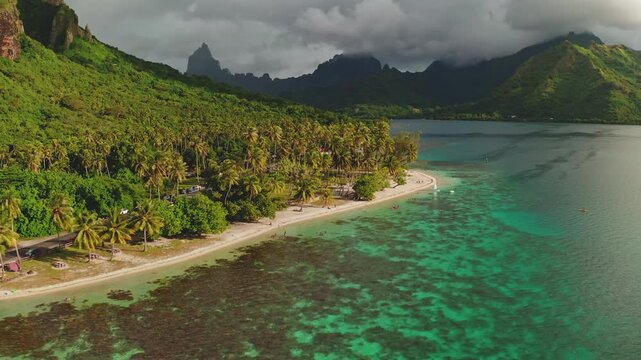 Moorea island paradise, pristine palm lined sandy beach, turquoise lagoon, swimmers, and dramatic green mountains under a partly cloudy sky. travel and tropical escape in French Polynesia. Aerial shot