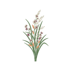 Fototapeta premium A delicate bouquet of wild meadow flowers and green grass blades isolated on a transparent background