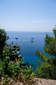 Scenic Sea View with Luxury Yachts Framed by Mediterranean Greenery. A high-angle vista overlooking the deep blue waters of the Mediterranean Sea, naturally framed by vibrant green pine trees and pric
