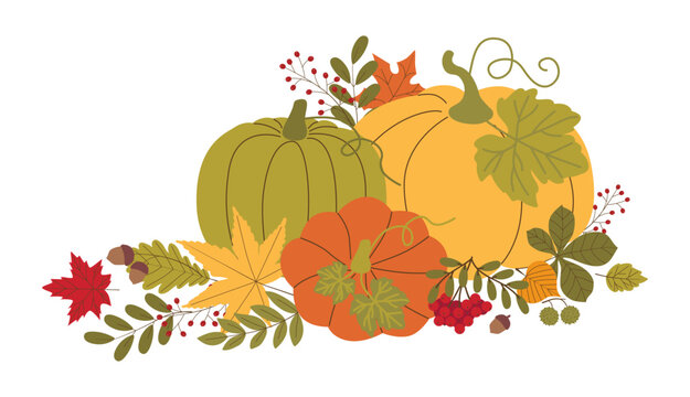 Vector harvest composition featuring green, orange, and yellow pumpkins arranged with colorful fall leaves and rowan berries. Isolated autumn celebration element on white background.