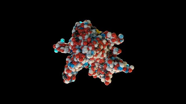IGF-1 Insulin-Like Growth Factor 1 Molecule 3D Medical Animation