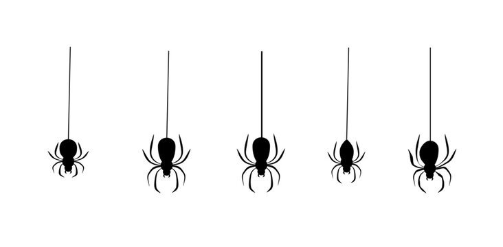 Halloween Cobweb Decoration Set with Spooky Spider Web Elements Vector illustration