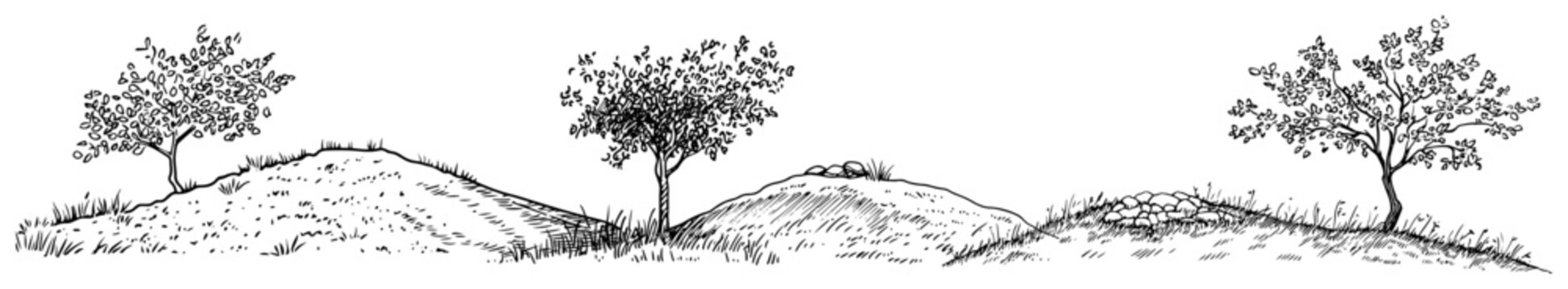 Rolling hills with sparse trees in rural countryside landscape sketch style