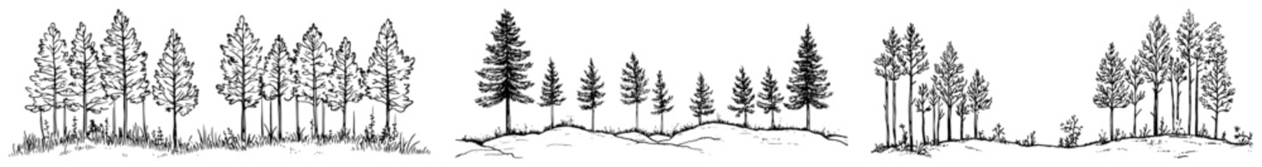 Pine trees on grassy hills forming forest edge panorama sketch style © Kaz