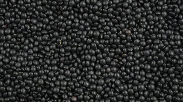 Black lentils close-up, top view, rotating