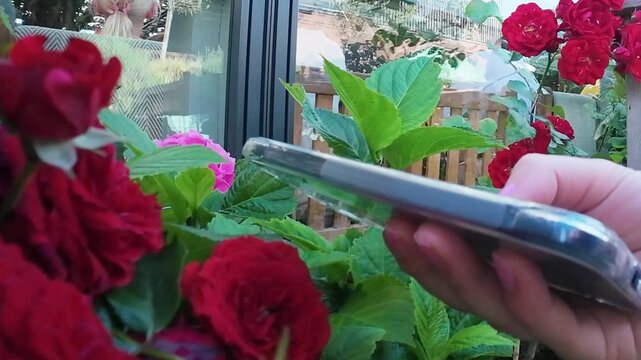 A hand scrolling mobile phone feed