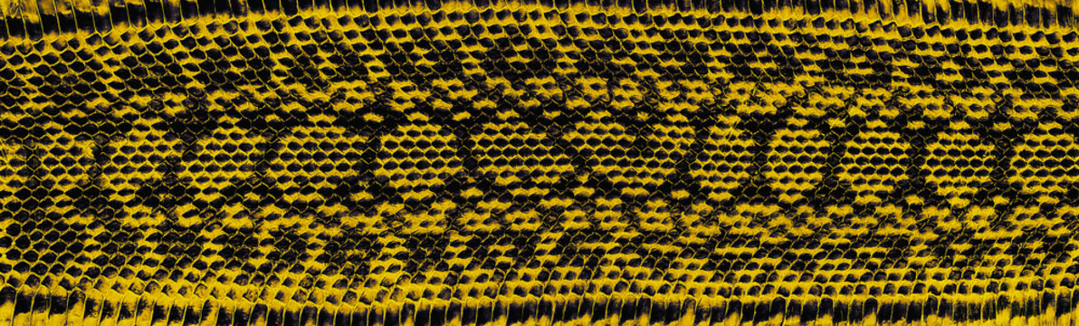 Texture of natural snake skin, as background. Snake pattern. Yellow reptile skin texture.