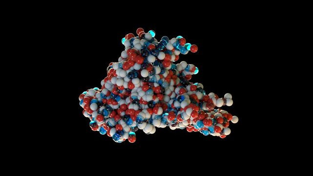 IGF-2 Insulin-Like Growth Factor 2 Molecule 3D Medical Animation