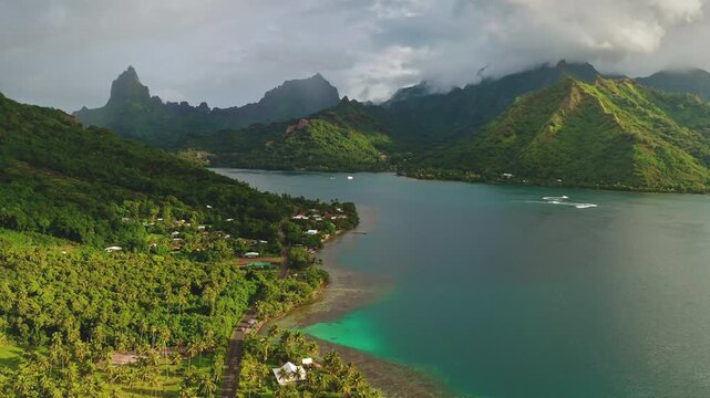 Aerial drone view of winding coastal road and palm trees dotted village along lush turquoise Opunohu Bay with volcanic peaks rising above Moorea serene lagoon and reef. French Polynesia landscape