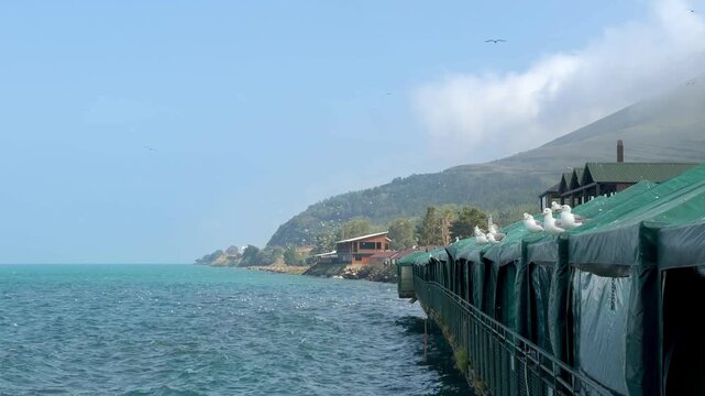View of Lake Sevan featuring seagulls on green tarps by the water, with mountains and buildings creating a picturesque landscape