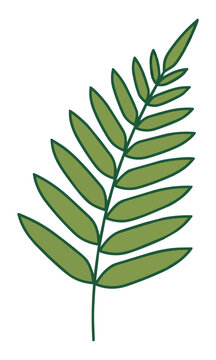 Minimalist monoline drawing of a single forest fern leaf with elegant curved fronds on a white background nature and botanical concept