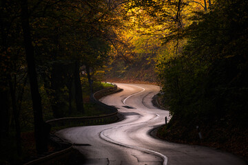 Obraz premium Winding autumn road through forest with golden light