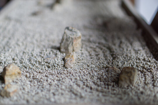 poppy seeds on wooden table