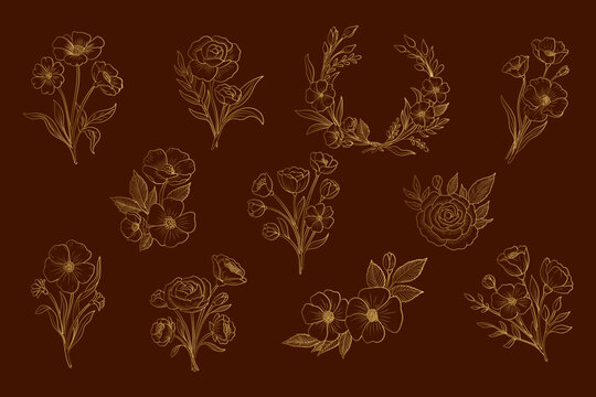 Gold Botanical Floral Line Art Collection Isolated Background