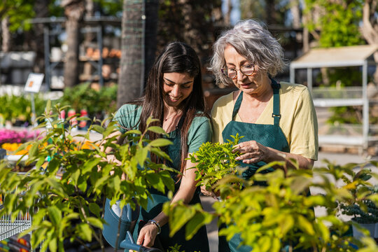 Garden center workers learning plant care together