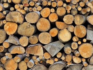 Obraz premium stack of firewood