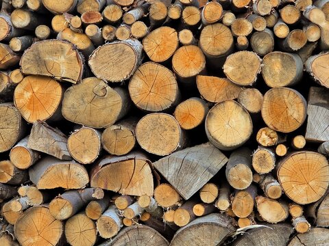 stack of firewood