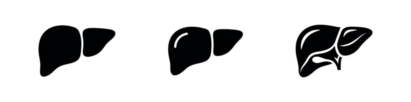 Human Liver Organ Anatomy Icons Set - Medical and Health Silhouettes