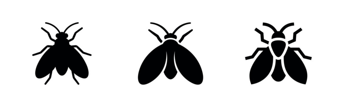 Fly Insect Icons - Common Housefly and Pest Control