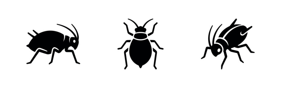 Aphid and Pest Insect Icon Set