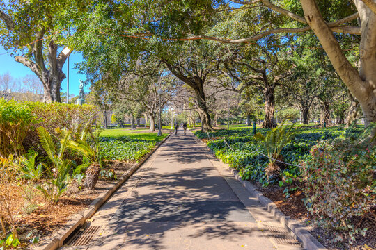 21 September 2026 Hyde Park in the heart of Sydney CBD with ponds lush green trees in Sydney NSW Australia 