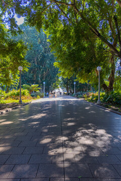 21 September 2026 Hyde Park in the heart of Sydney CBD with ponds lush green trees in Sydney NSW Australia 