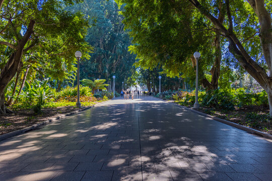 21 September 2026 Hyde Park in the heart of Sydney CBD with ponds lush green trees in Sydney NSW Australia 