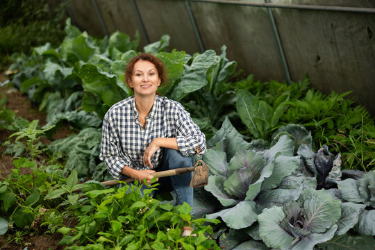 Portrait of woman with a rake in her hands inside a greenhouse with a harvest of vegetables and cabbage