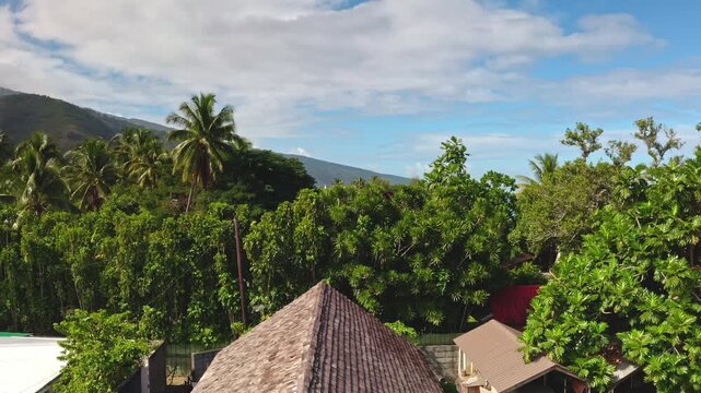 Tropical bungalow in Moorea, French Polynesia, simple home amidst vibrant green plants, palm trees, banana leaves, and colorful coastline scene under blue sky with white clouds. Rise up drone shot
