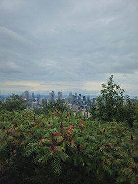 Montreal city 